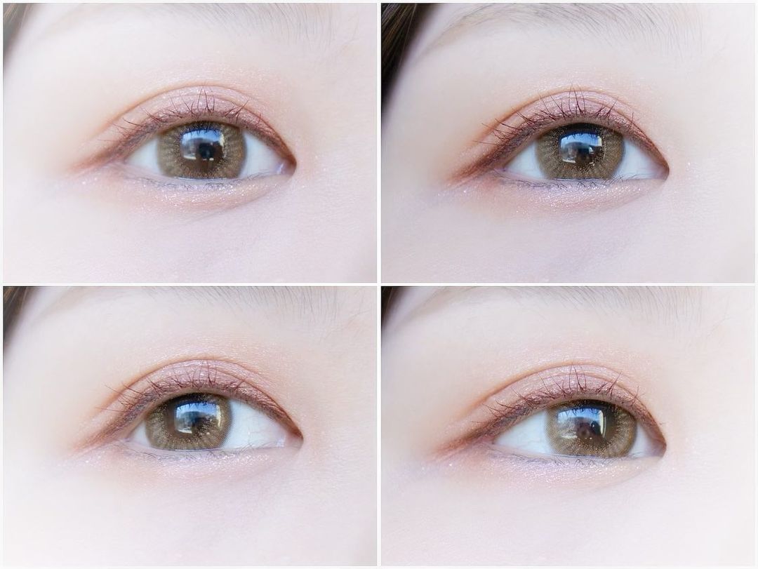 Flanmy Shell Coral Greige フランミー シェルコーラルグレージュ Flanmy Dia 14 2mm 着色直径 13 6mm 使用期間 ワンデー 8 5 含水率 58 0 佐々木希さん カラコンレビュー情報局