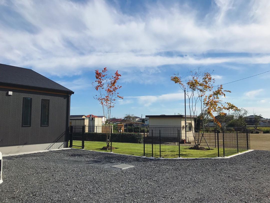 駐車場側から 新築一戸建て 注文住宅 田舎暮らし 平屋暮らし 平屋の家 ちょうどいい家 庭 庭づくり セルフ外構 ドッグラン ドッグランのある家 黒と木目の家 シンプルな家 シンプルホーム Myhome みんなのマイホーム Jp