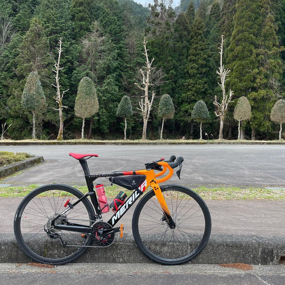 まるでイラストのような木が並んでて面白かったので 思わず一枚 Roadbike Roadbike Jp Meridareacto Merida Reacto Cycling ロードバイク メリダ リアクト サイクリン ロードバイクjp ロードバイク Jp