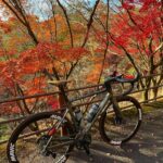 <span class="title">週末は何かと所用ありかなり自転車に乗れておらず、今日はひっさびさのライドで足慣らしな感じでトリタから藤坂をマッタリ回ってから、紅葉🍁も終わりかけの織姫山に登ってきました。  初冬の引き締まった空気に鮮やかな紅葉が映えるこの季節のライドは本当に気持ち良いで .. #ロードバイクJP</span>