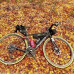 <span class="title">落ち葉の絨毯とルーベくん。  ホイールの色と合ってて なかなかよき。  今の時期はどこを走っても紅葉がキレイだね🍁  赤と黄色のグラデーションが美しい。  _ _ _ _ _ _ _ _ _ _  #ロードバイクJP</span>